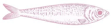 sardina copia (2)